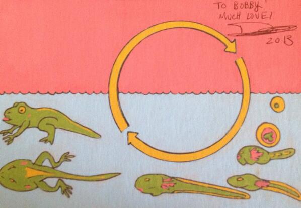 This piece was a gift to me from David Wolk. I gravitated to it because it represents a life-cycle, much like the exhibition.  Charm Ape, July 20, 2013.