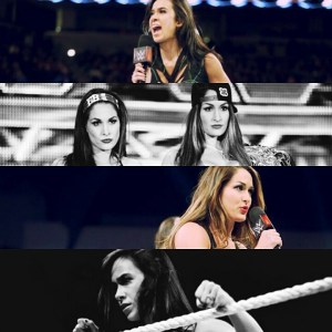 AJ Lee vs. The Bella Twins