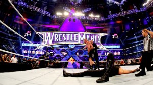 Lesnar def. Undertaker at Mania 30