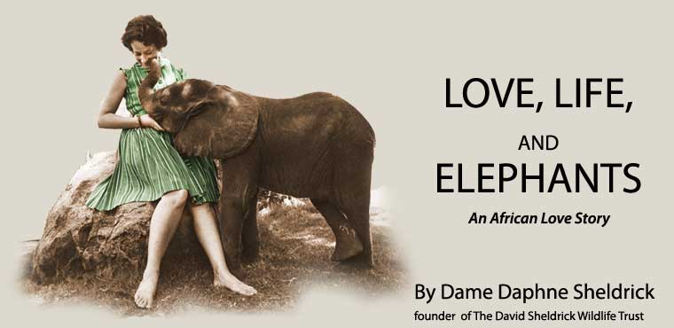 Love Life and Elephants