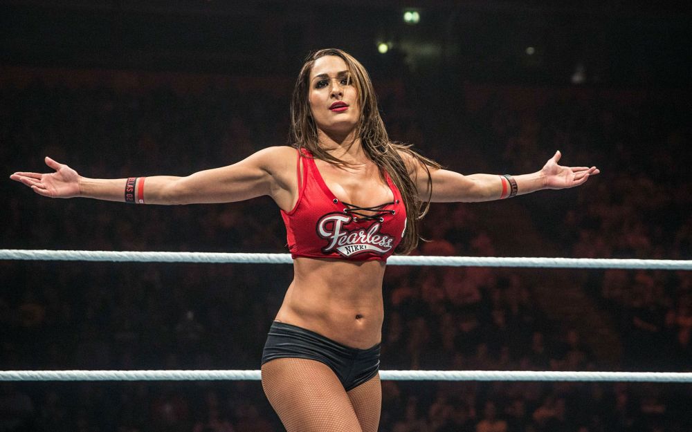 Diva - Nikki Bella 3