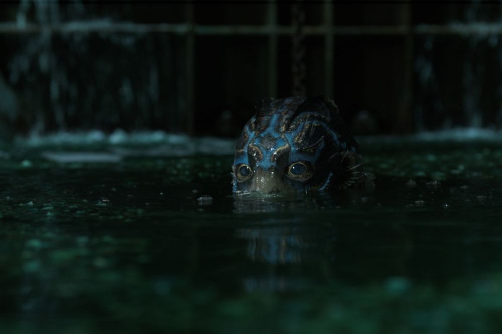 Art Direction - Shape of Water